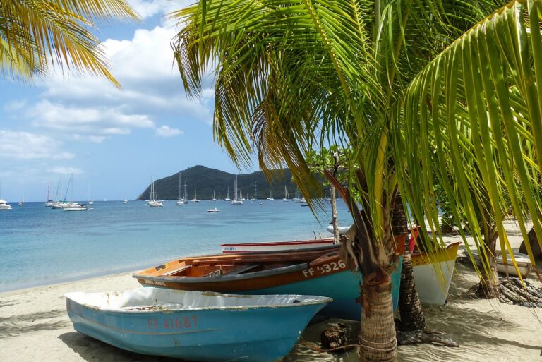 caribbean, boats, palm tree-1159648.jpg
