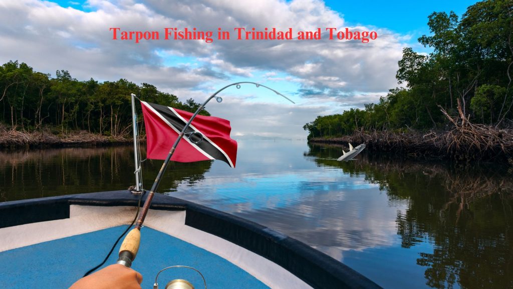 Tarpon Fishing in Trinidad and Tobago