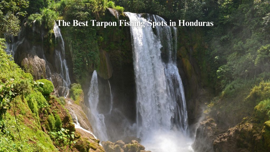 The Best Tarpon Fishing Spots in Honduras