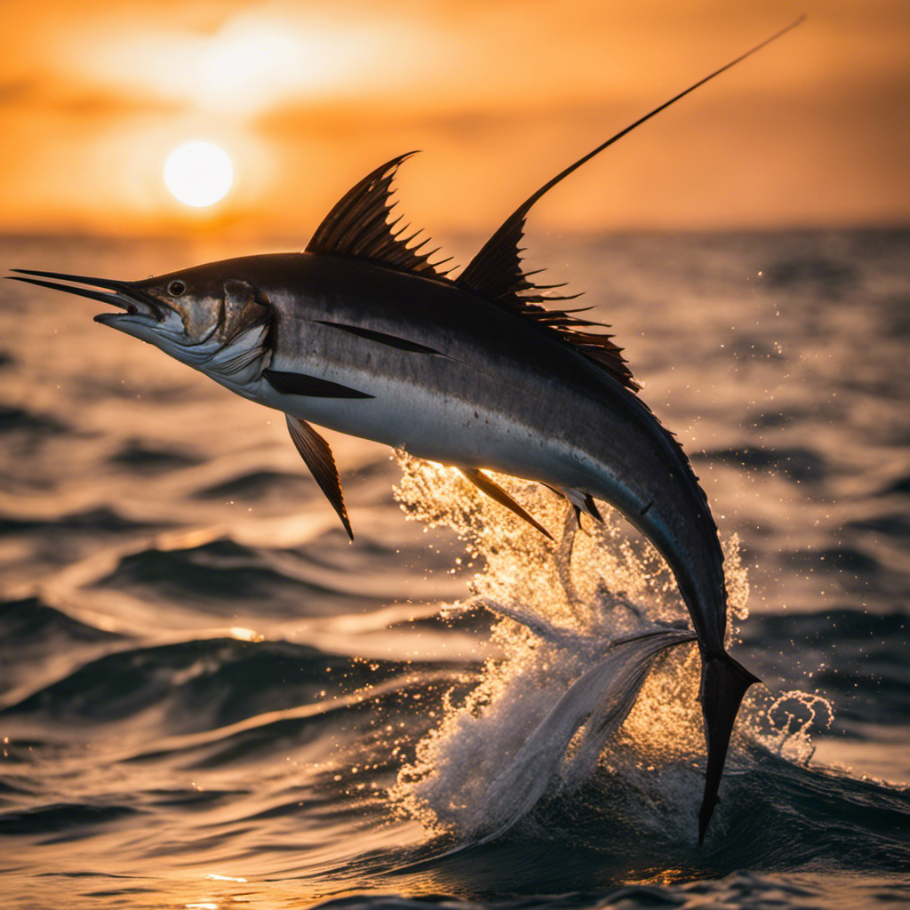 vibrant scene at sea with various pelagic and offshore species like sailfish, marlin, and tuna swimming nearby a leaping tarpon, all under a glowing sunset