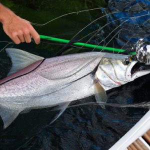 An image showcasing a skilled angler gently cradling a majestic tarpon in waist-deep water, with the boat's deck in the background